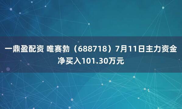 一鼎盈配资 唯赛勃（688718）7月11日主力资金净买入101.30万元