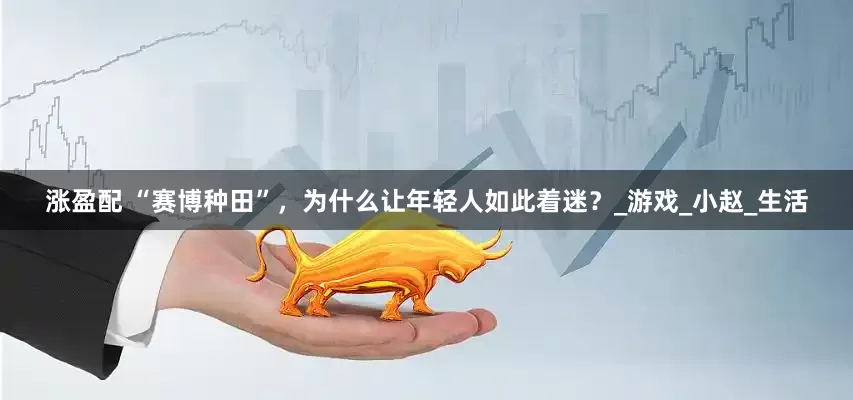 涨盈配 “赛博种田”，为什么让年轻人如此着迷？_游戏_小赵_生活