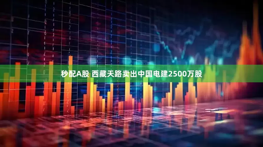 秒配A股 西藏天路卖出中国电建2500万股