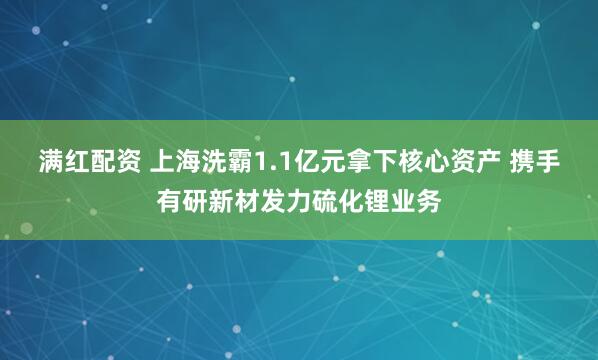 满红配资 上海洗霸1.1亿元拿下核心资产 携手有研新材发力硫化锂业务