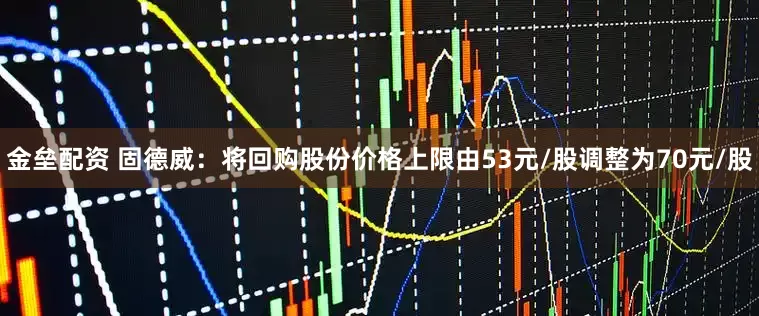 金垒配资 固德威：将回购股份价格上限由53元/股调整为70元/股